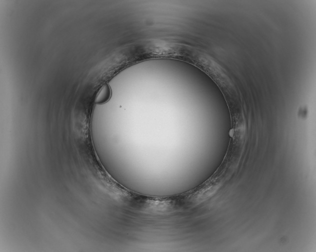 X0000089390469200706221322