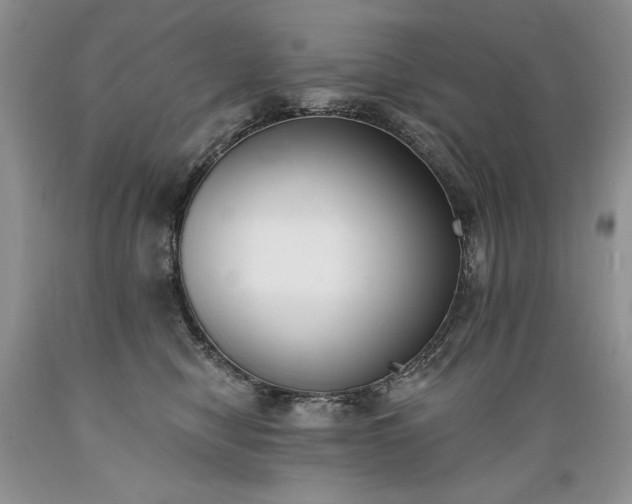 X0000089390470200706221322