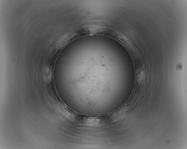 X0000089390471200706221322