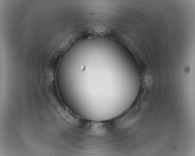 X0000089390472200706221322