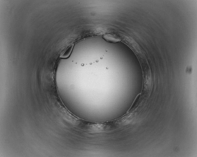 X0000089390473200706221322