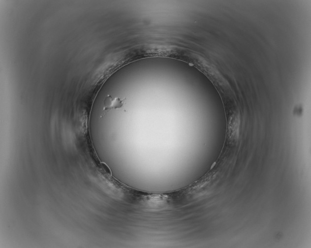 X0000089390474200706221322