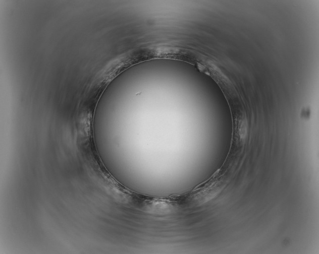 X0000089390475200706221322