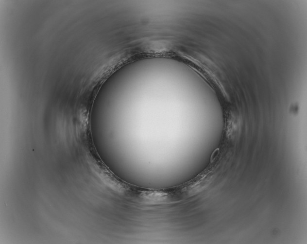 X0000089390476200706221322