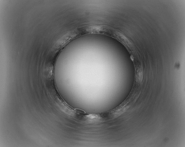 X0000089390477200706221322