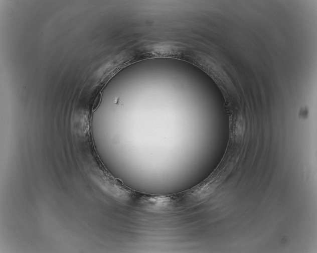 X0000089390478200706221322