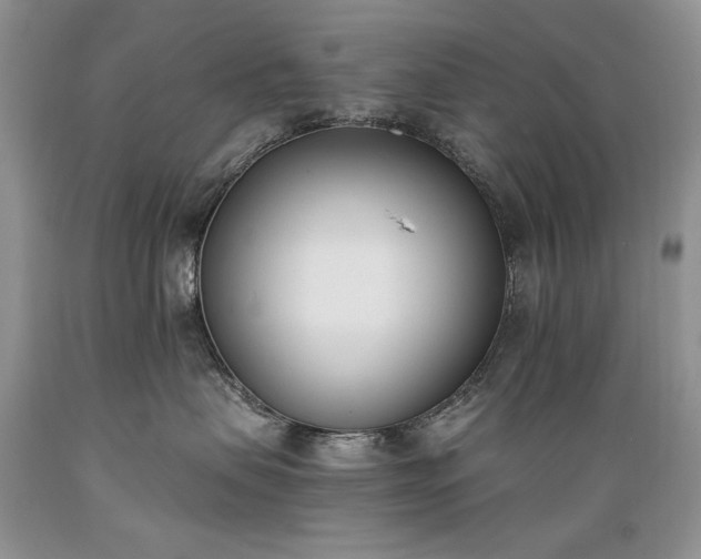 X0000089390479200706221322