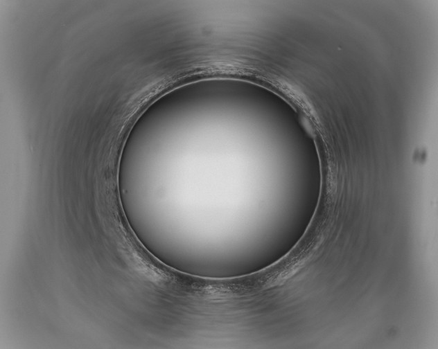 X0000089390481200706221321