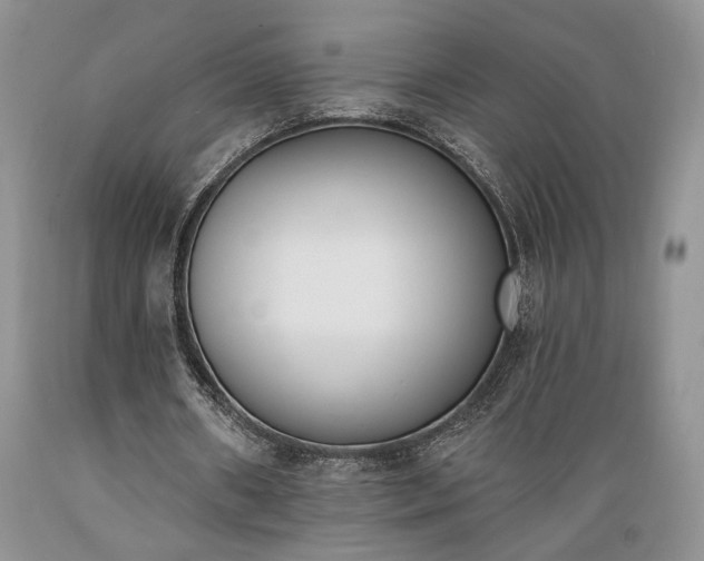 X0000089390482200706221321