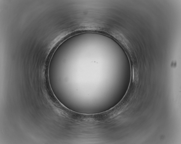 X0000089390483200706221321