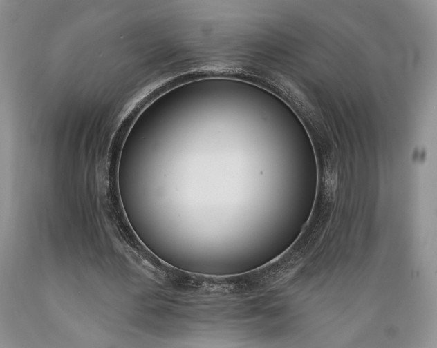 X0000089390484200706221321