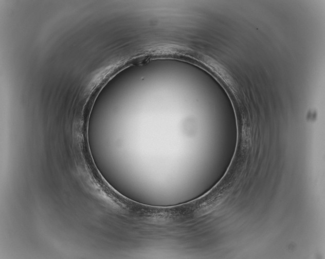 X0000089390485200706221321
