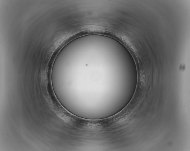 X0000089390487200706221321