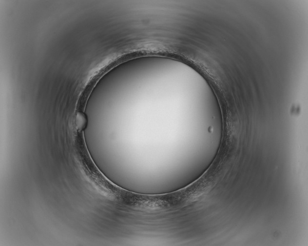 X0000089390488200706221321
