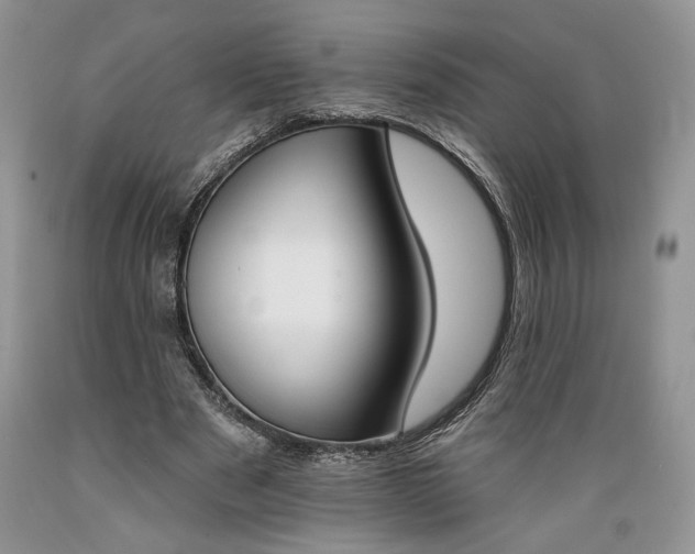 X0000089390489200706221321