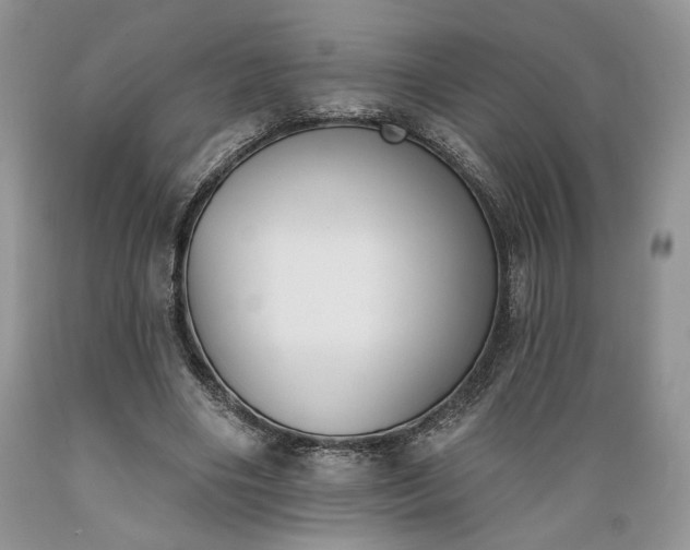 X0000089390490200706221321