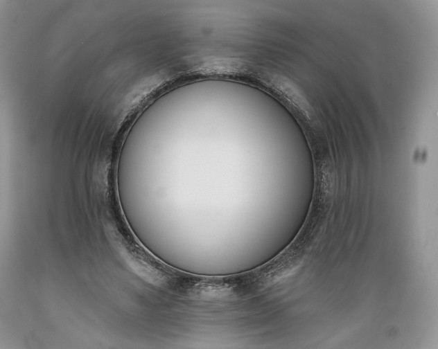 X0000089390491200706221321