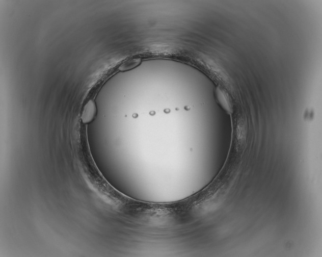 X0000089390492200706221321