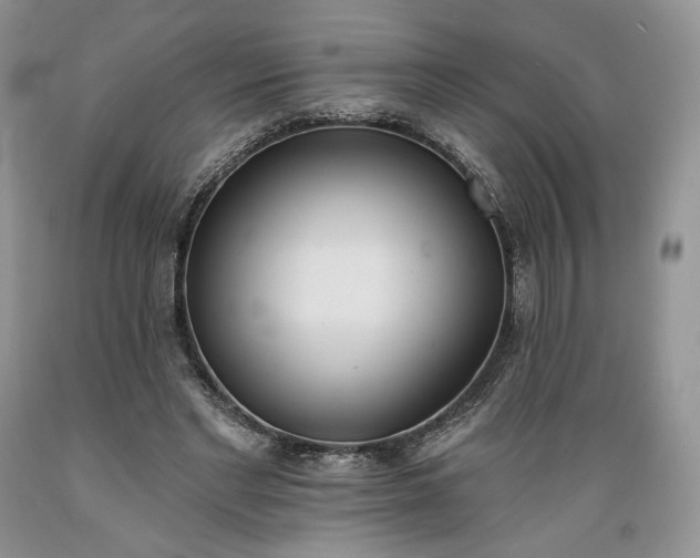 X0000089390493200706221321