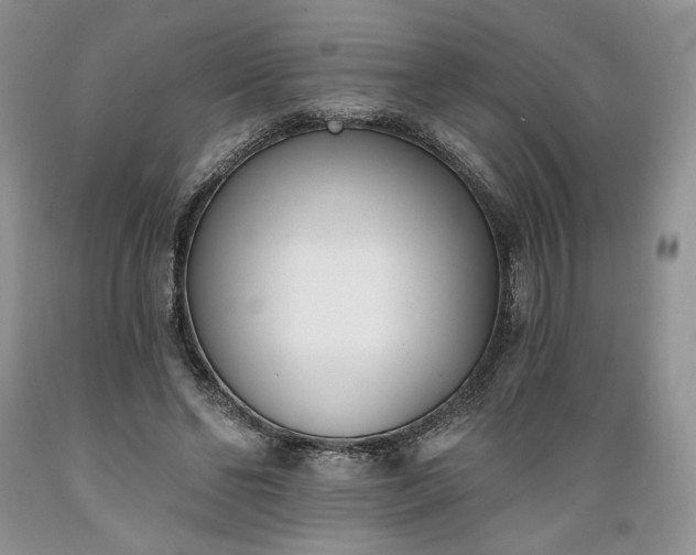X0000089390494200706221321