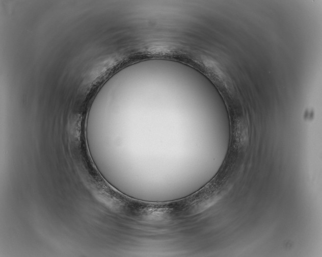X0000089390495200706221321