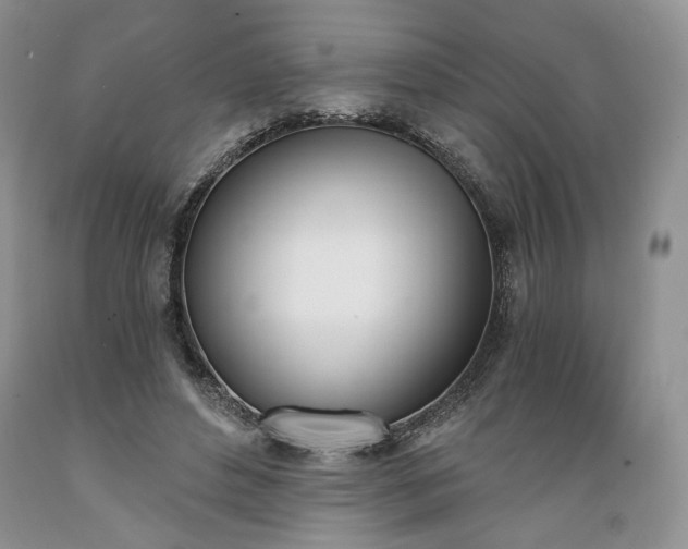 X0000089390496200706221321