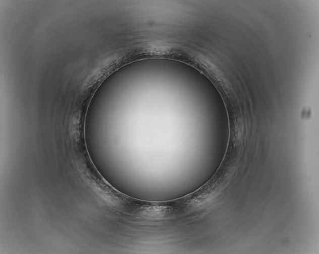 X0000089390497200706221321