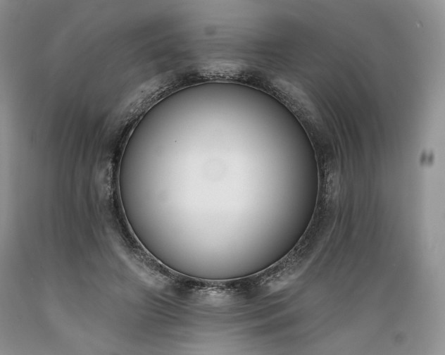 X0000089390498200706221321