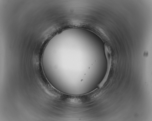 X0000089390500200706221321
