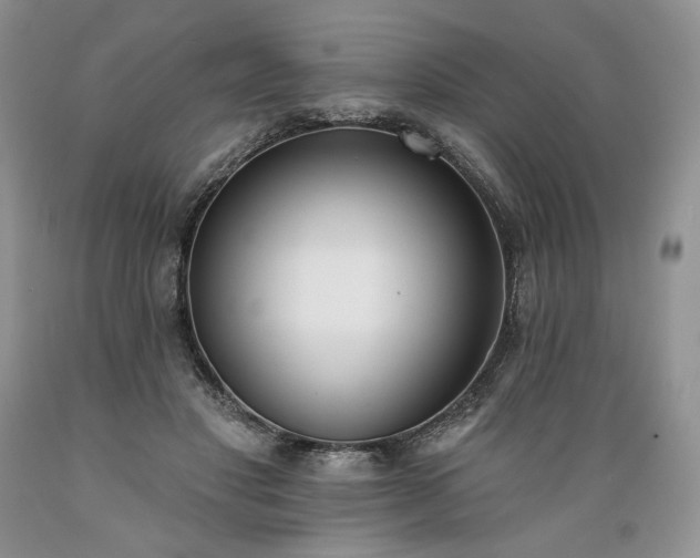 X0000089390501200706221321