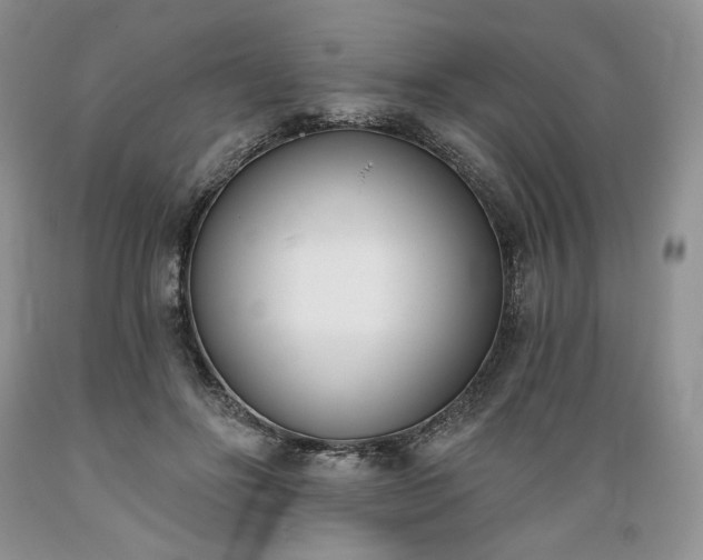 X0000089390502200706221321