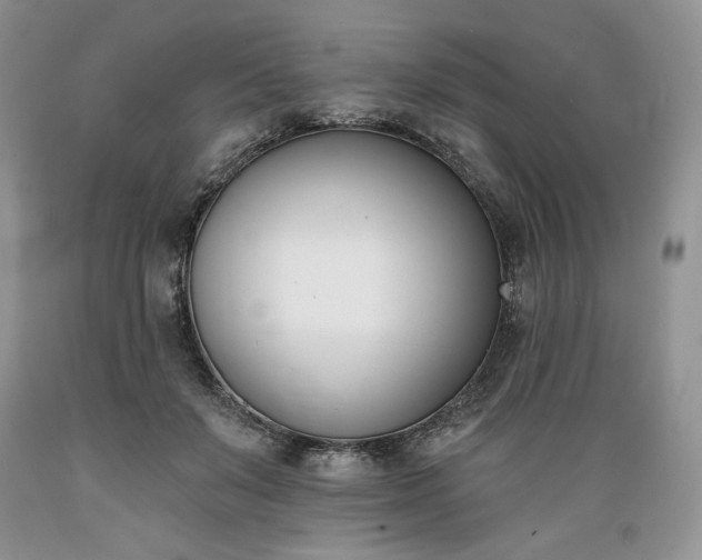 X0000089390503200706221321