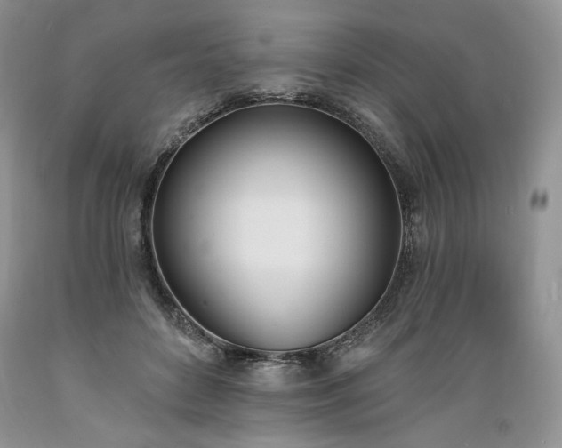 X0000089390504200706221321