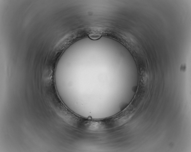 X0000089390507200706221321