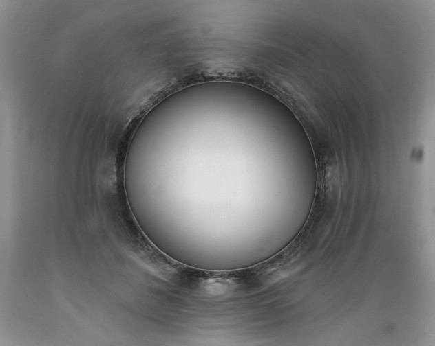 X0000089390508200706221321