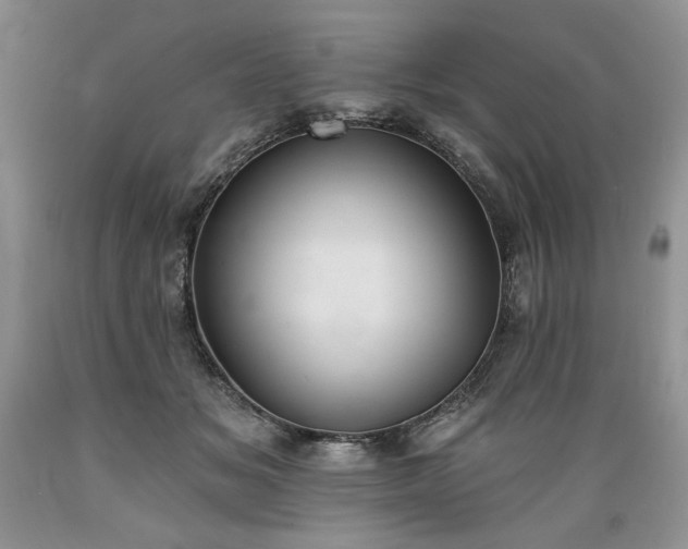 X0000089390509200706221321