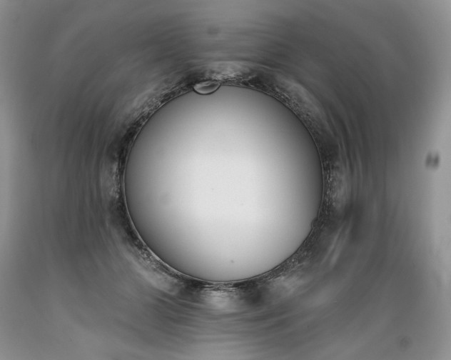 X0000089390510200706221321