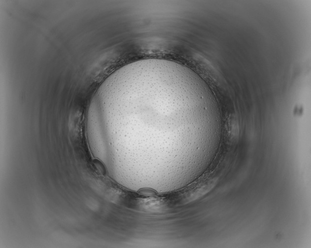 X0000089390511200706221321