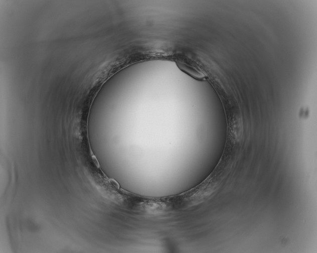 X0000089390512200706221321