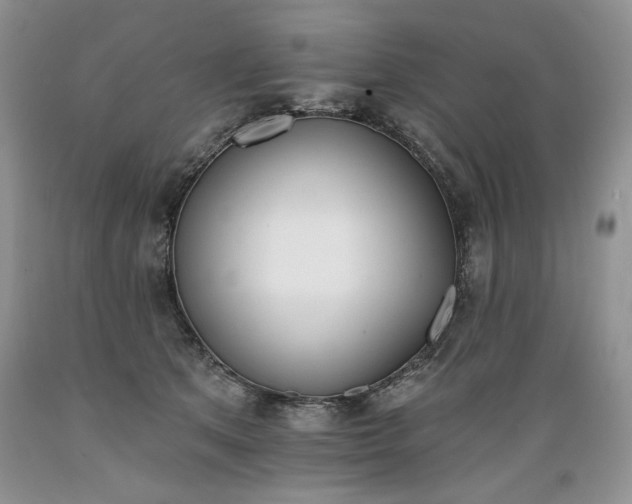 X0000089390513200706221321