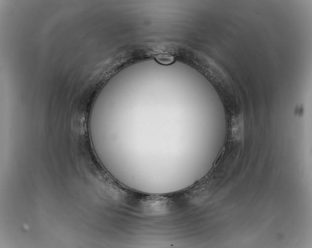 X0000089390514200706221321
