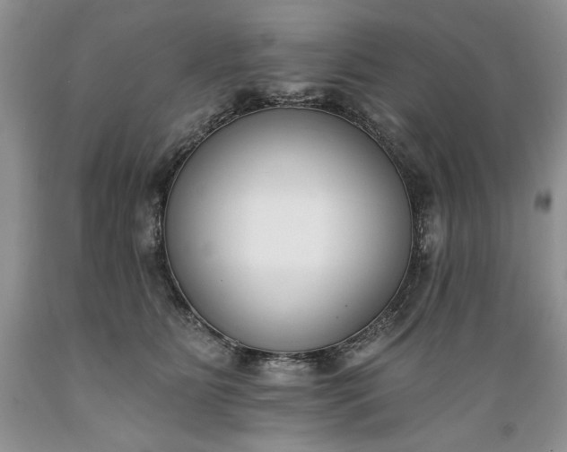 X0000089390515200706221321
