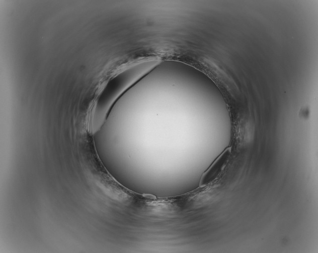 X0000089390516200706221321