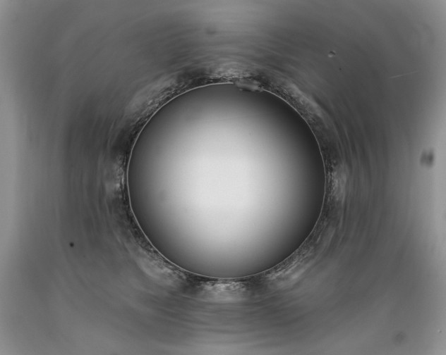 X0000089390517200706221321