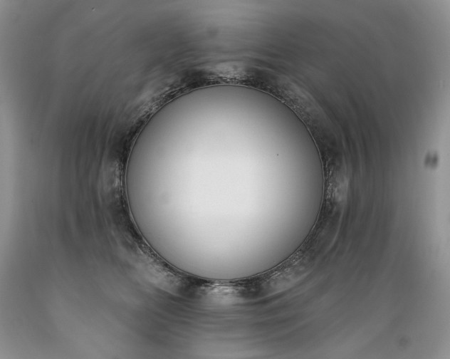 X0000089390518200706221321