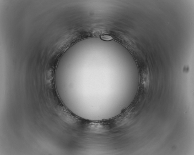 X0000089390519200706221321