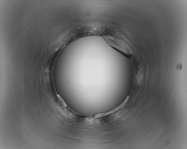 X0000089390520200706221321