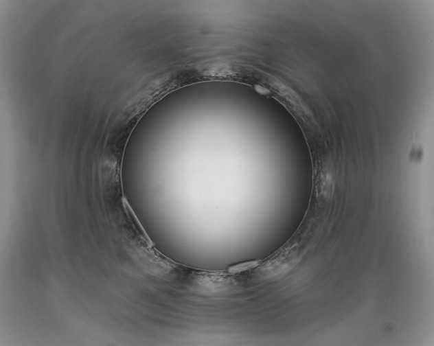 X0000089390521200706221321