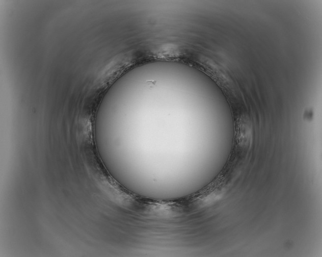 X0000089390523200706221321