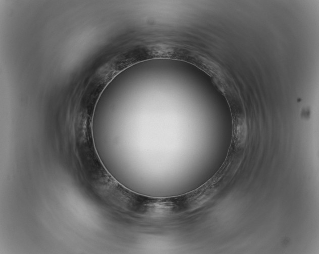 X0000089390525200706221321